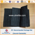 HDPE Plastic Geonet Geocomposite pour drainage